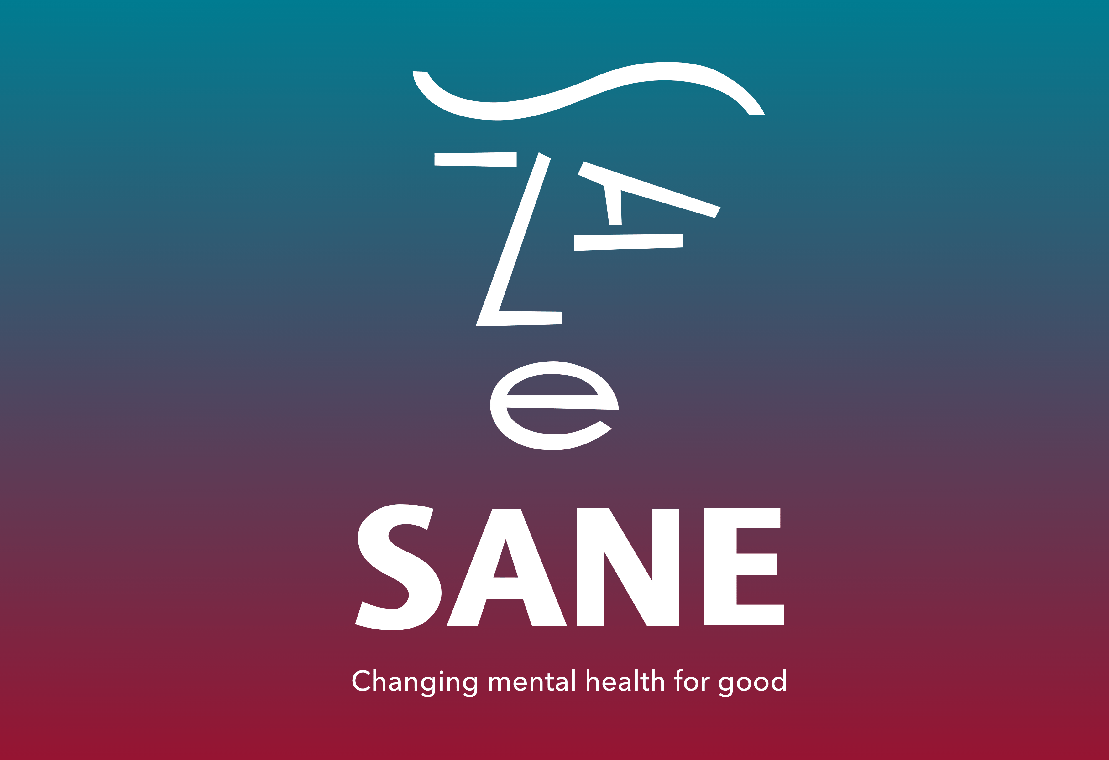 SANE Logo